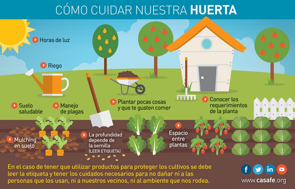 Tu Jardín Tu Huerta Casafe