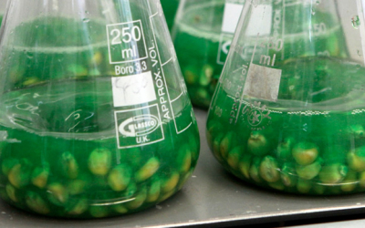 Los bioinsumos como soluciones ambientales y complemento de los productos químicos