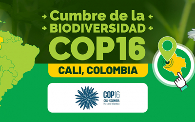 COP16: innovación agrícola, biodiversidad y la necesidad de un abordaje conjunto