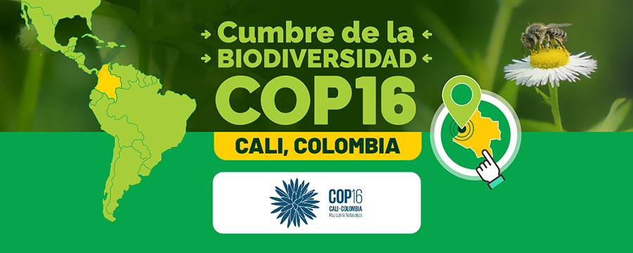 noticia casafe COP16: innovación agrícola, biodiversidad y la necesidad de un abordaje conjunto